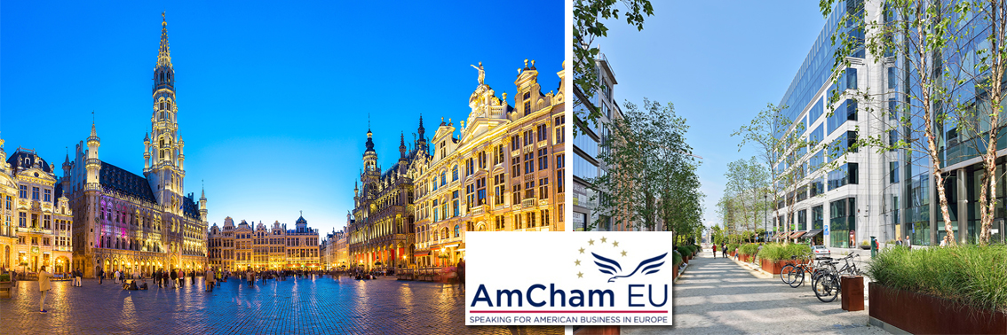 Andreas Galanakis internship programme at AmCham EU, Brussels