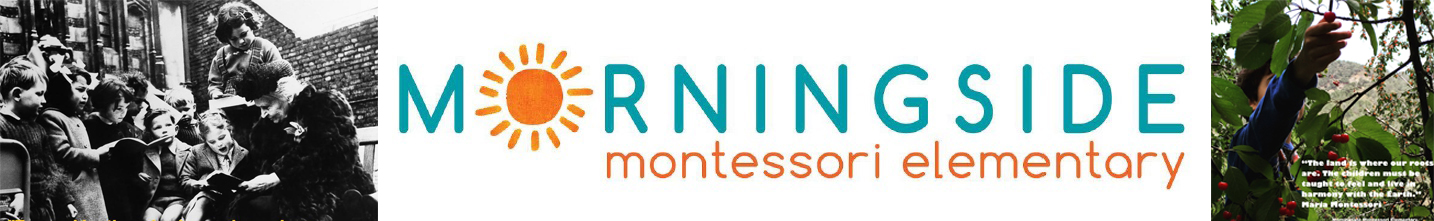 Intern vacancy for summer 2019 at Morningside Monterssori Elementary School, Cyprus